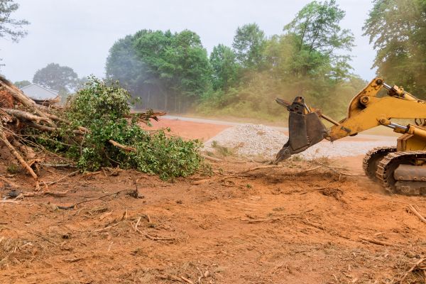 Ground Clearing in Peyton