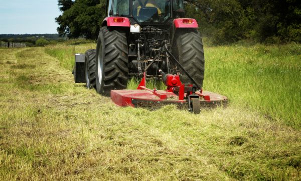 Brush Clearing Service in Peyton