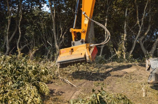 Brush Removal Service in Peyton
