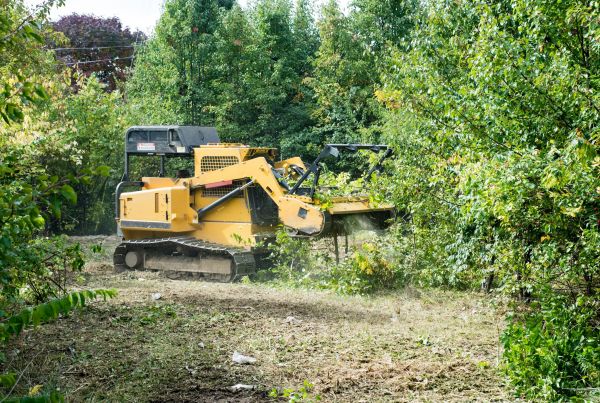 Pathway Clearing in Peyton