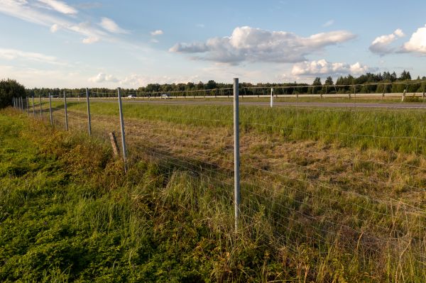 Property Line Clearing in Peyton